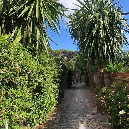 Puravida 3 Lägenhet Anzio Exteriör bild
